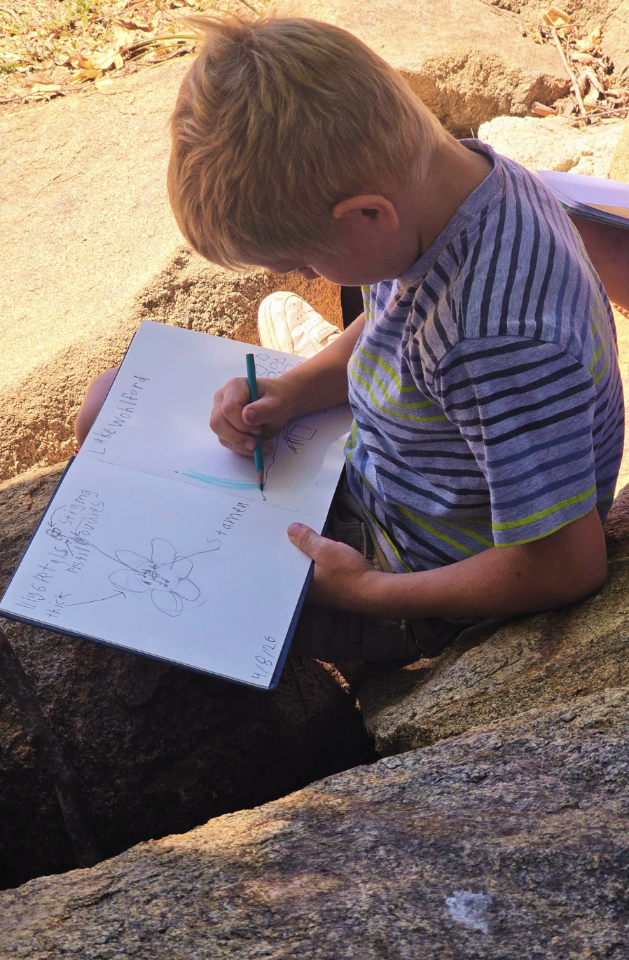 A young student sketching a flower in his field notebook.