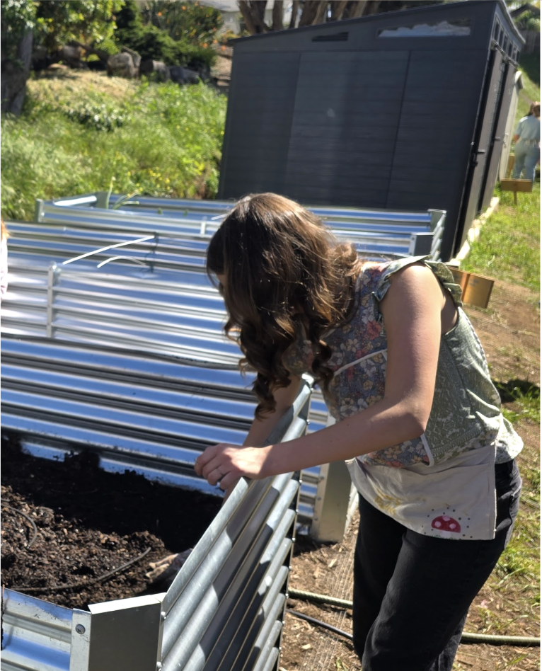Kelly tending to a freshly built raised garden bed.